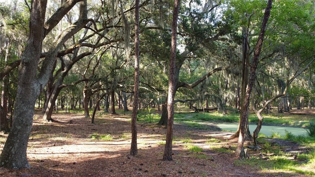 For Sale: $1,265,000 (18.10 acres)
