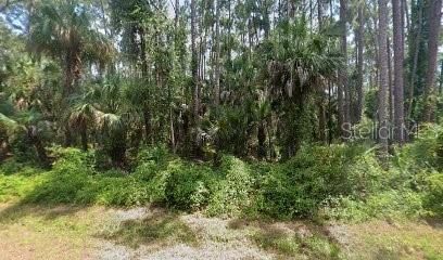 En Venta: $18,900 (0.23 acres)