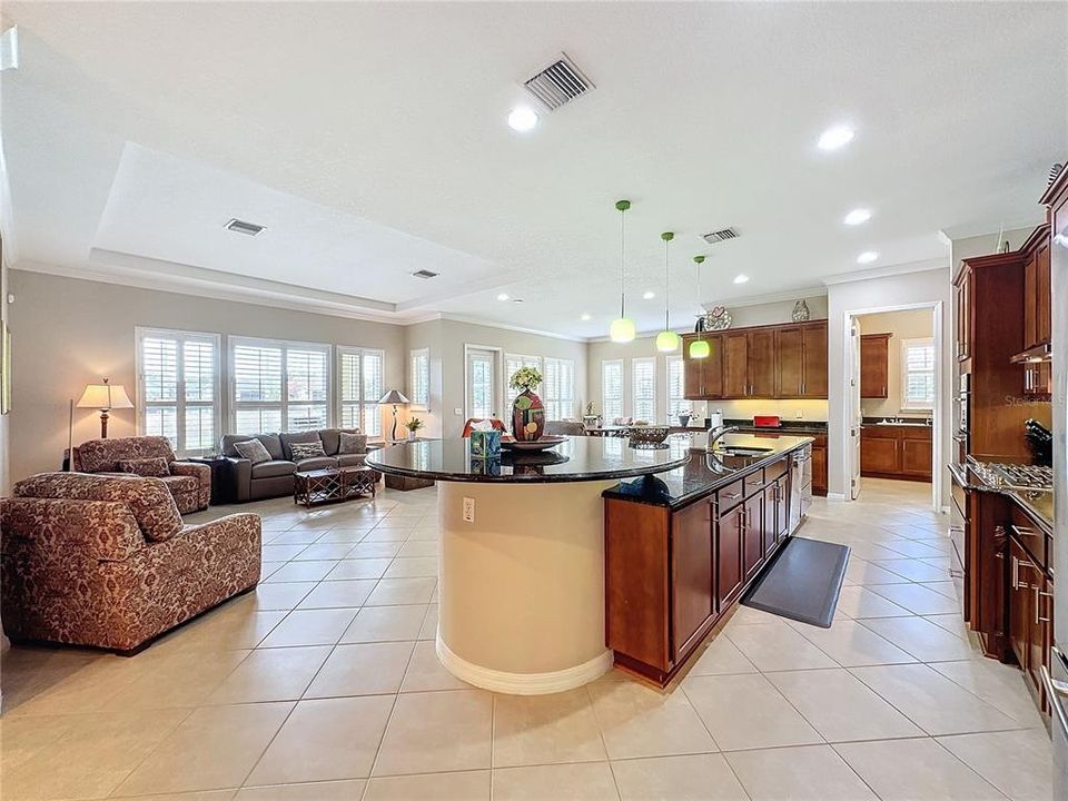 The OPEN CONCEPT FLOORPLAN - Kitchen and expansive family room