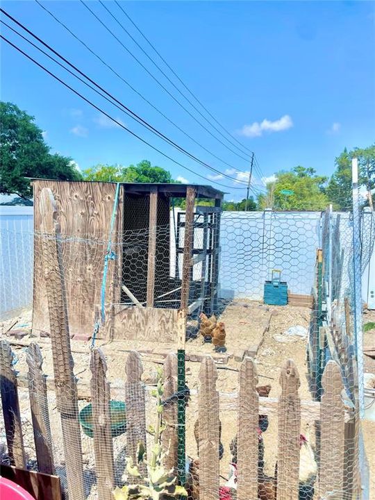 Chicken Coop on Vacant Lot