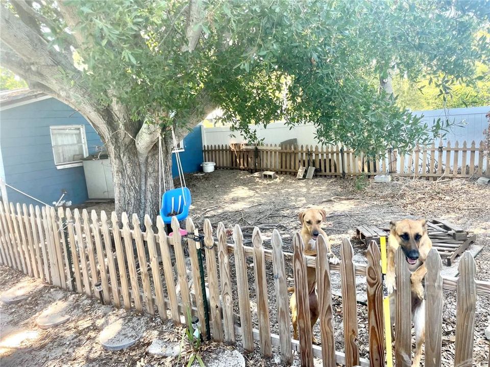 Fenced-in Doggy-Play Area