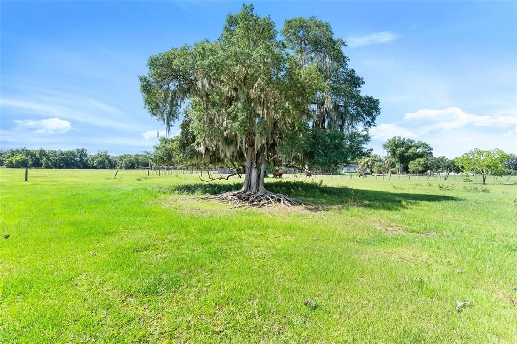 Active With Contract: $1,450,000 (27.13 acres)