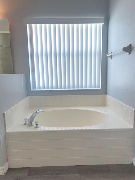 Primary Bathroom: Garden tub separate shower and double sinks