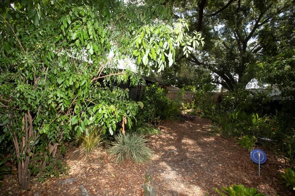 BACK YARD WITH MATURE FLOWERS, MULTIPLE FRUIT TREES AND CONVENIENT LOW VOLUME IRRIGATION SYSTEM