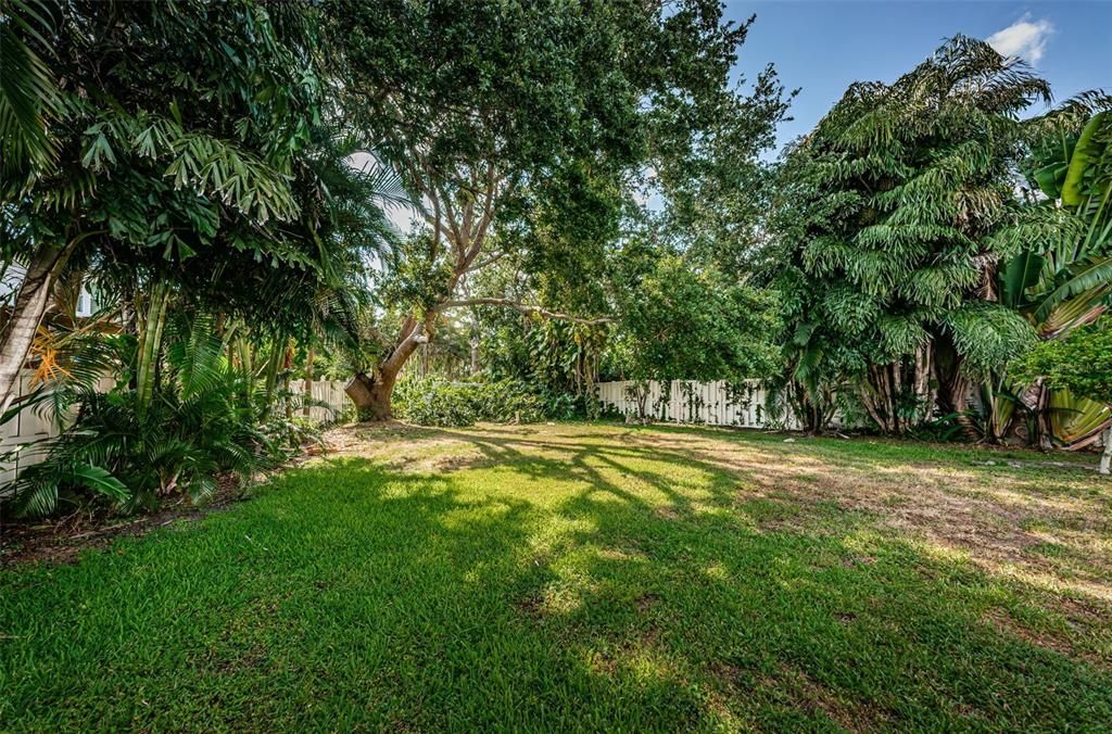 Backyard has room for a pool