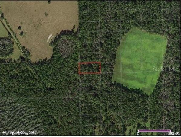 На продажу: $7,999 (1.26 acres)