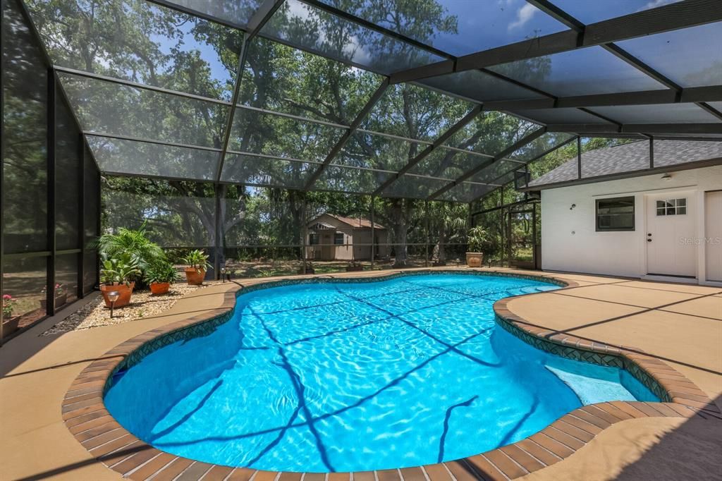 Large pool with new pool equipment