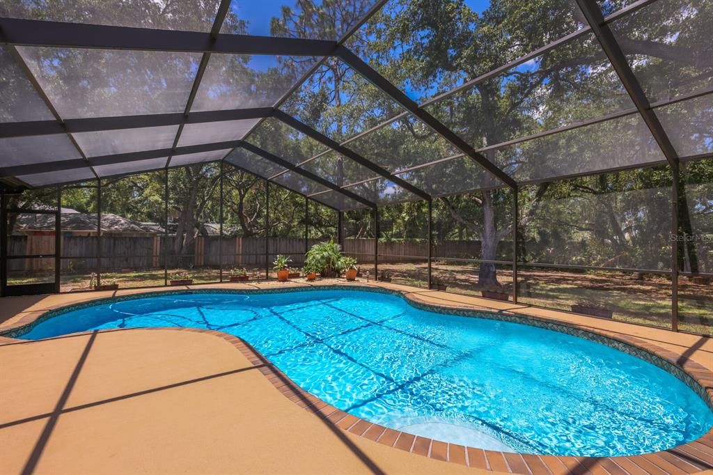 Sparkling screened in pool