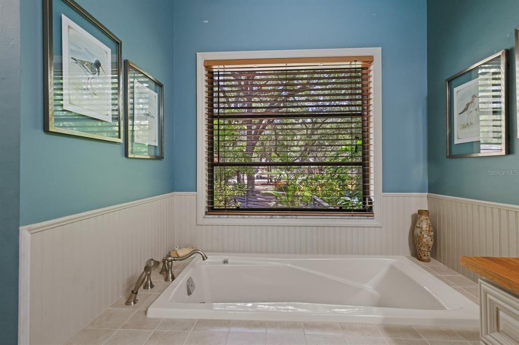 spa tub in primary bathroom