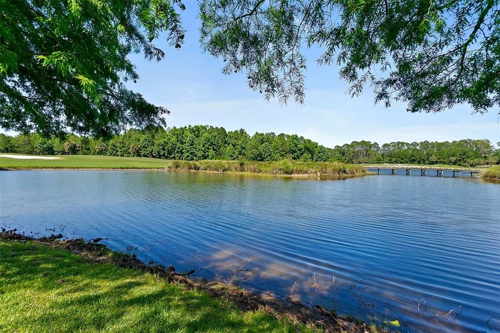 Lake Area w/Views of the Bridge