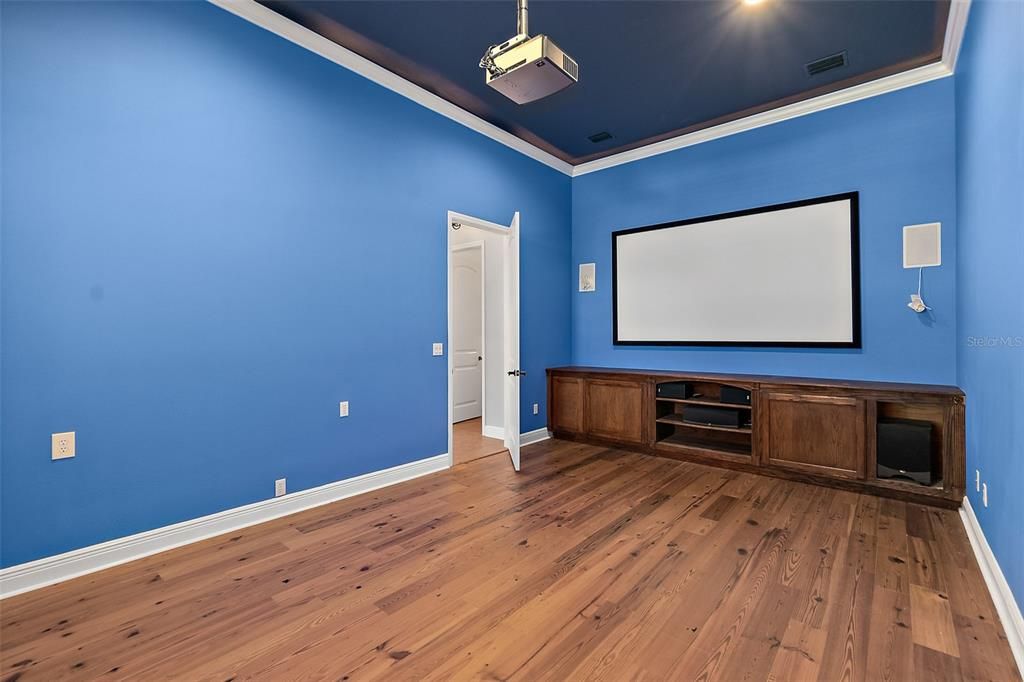 Theater Room w/Large Screen & Cabinets