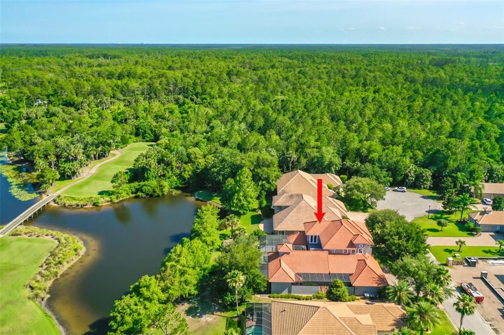 Aerial View of Property & Lake