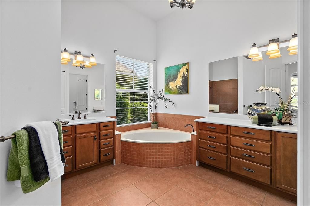 Master Bathroom w/Two Separate Sink/Vanity Areas