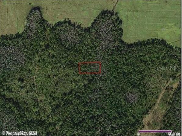 На продажу: $7,999 (1.24 acres)