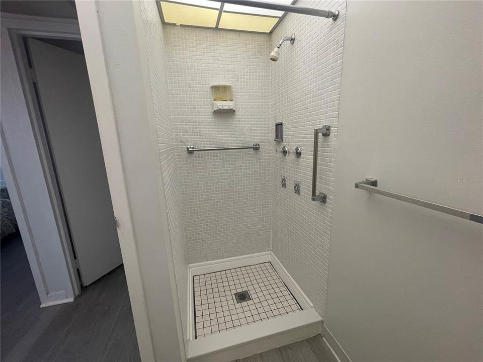 Master walk-in shower