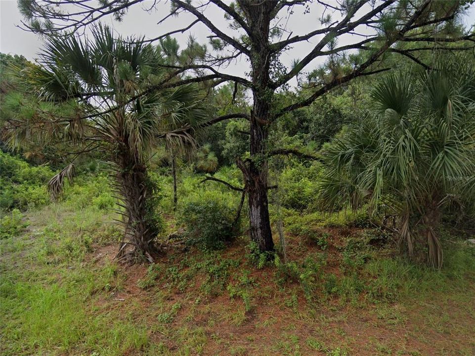 En Venta: $29,950 (0.26 acres)