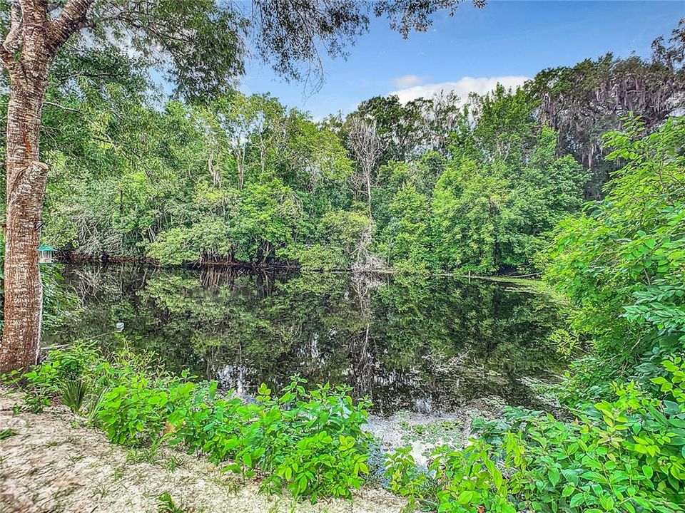 Canal behind home