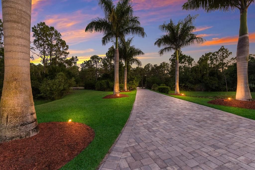 Foxtail palms with uplighting, lining the paver drive for a dramatic and gorgeous entrance