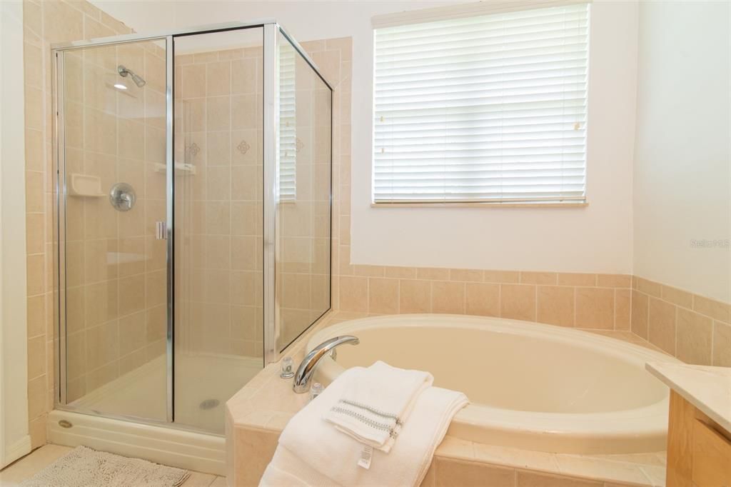 Shower and Garden Tub