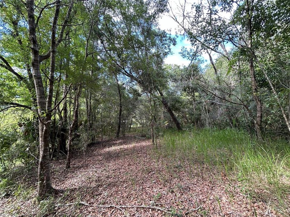 Active With Contract: $99,000 (7.72 acres)