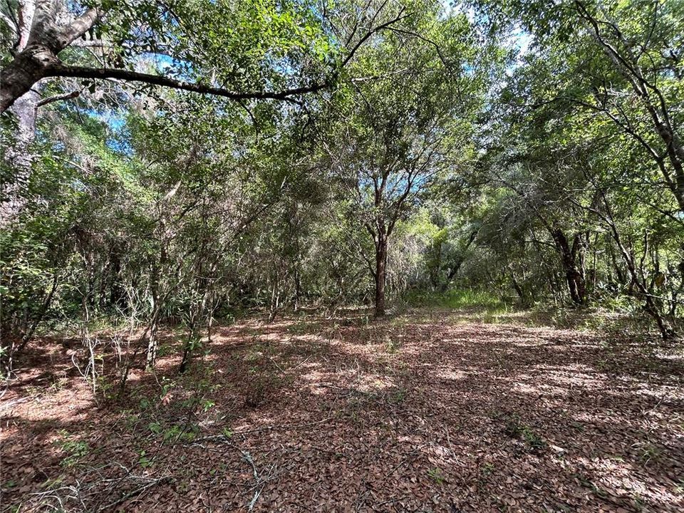 Active With Contract: $99,000 (7.72 acres)