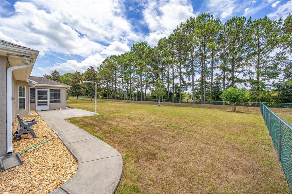 Large Fenced Back Yard