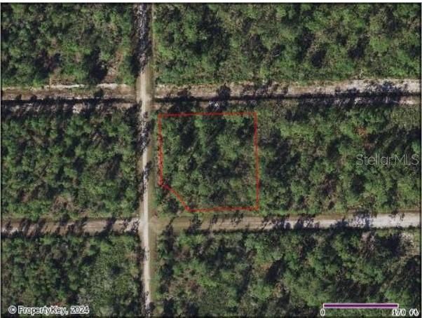 For Sale: $49,999 (1.05 acres)