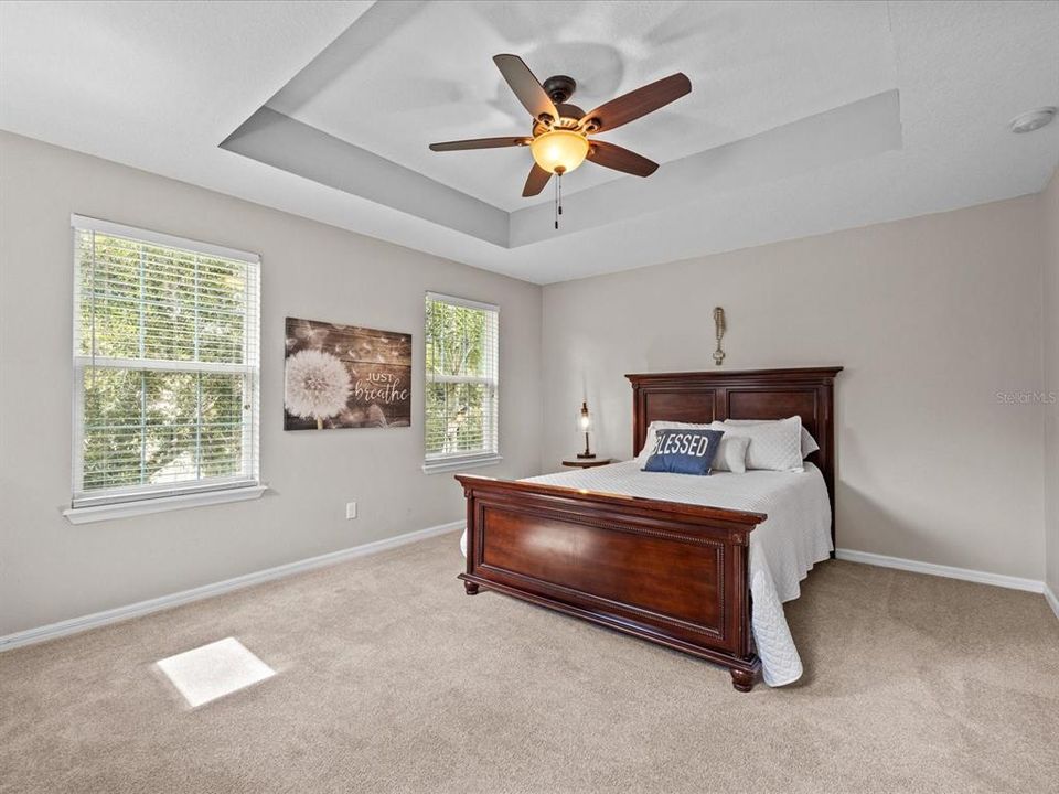 Light and bright master suite with tray ceiling