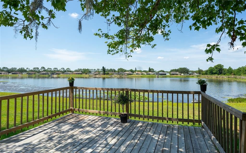 Open Deck under the trees