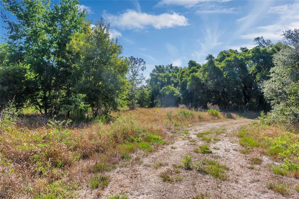 Active With Contract: $350,000 (9.63 acres)