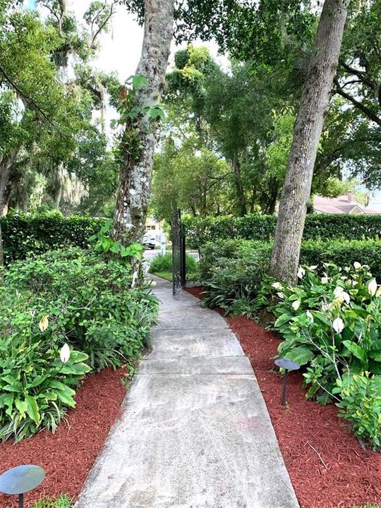 Lush landscaping borders the walkway