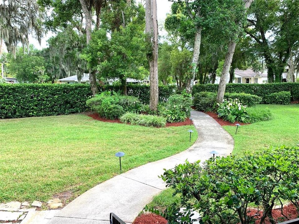 Well maintained yard with privacy hedge and mature landscaping.