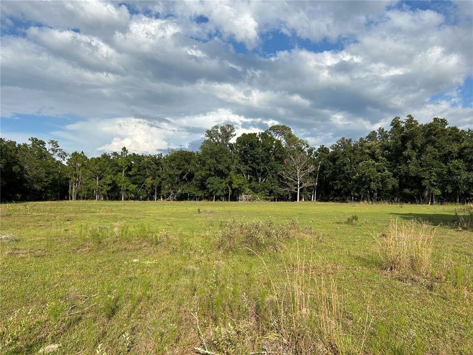 For Sale: $150,000 (5.05 acres)