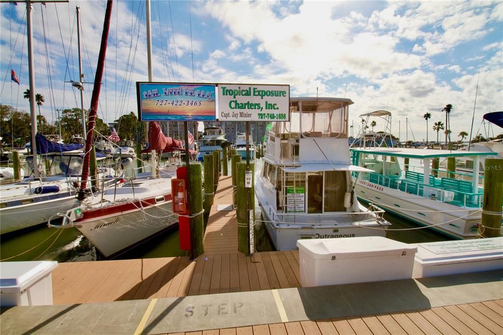 Downtown Dunedin Marina to charter cruises and fishing trips