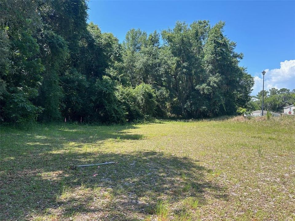 For Sale: $35,000 (0.11 acres)