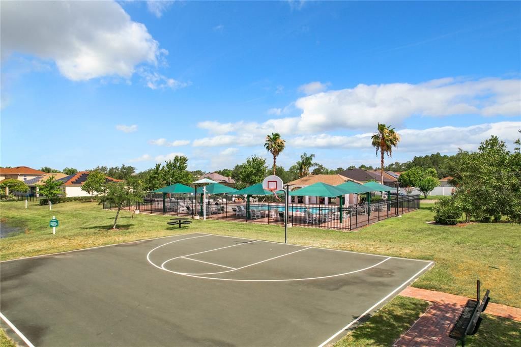 Basketball Court