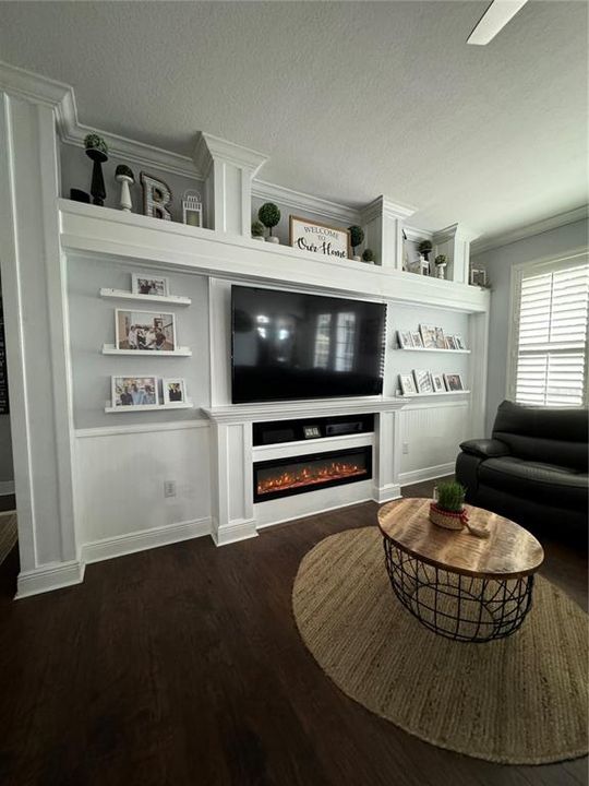 Living Room with custom built in wall and electric fireplace