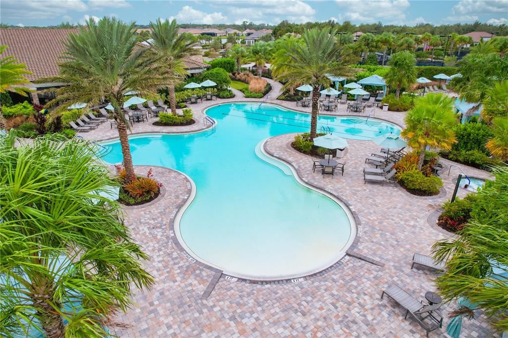 Amenity Center Pool