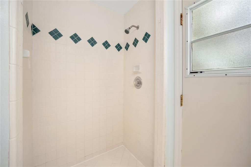 Shower in hall bath