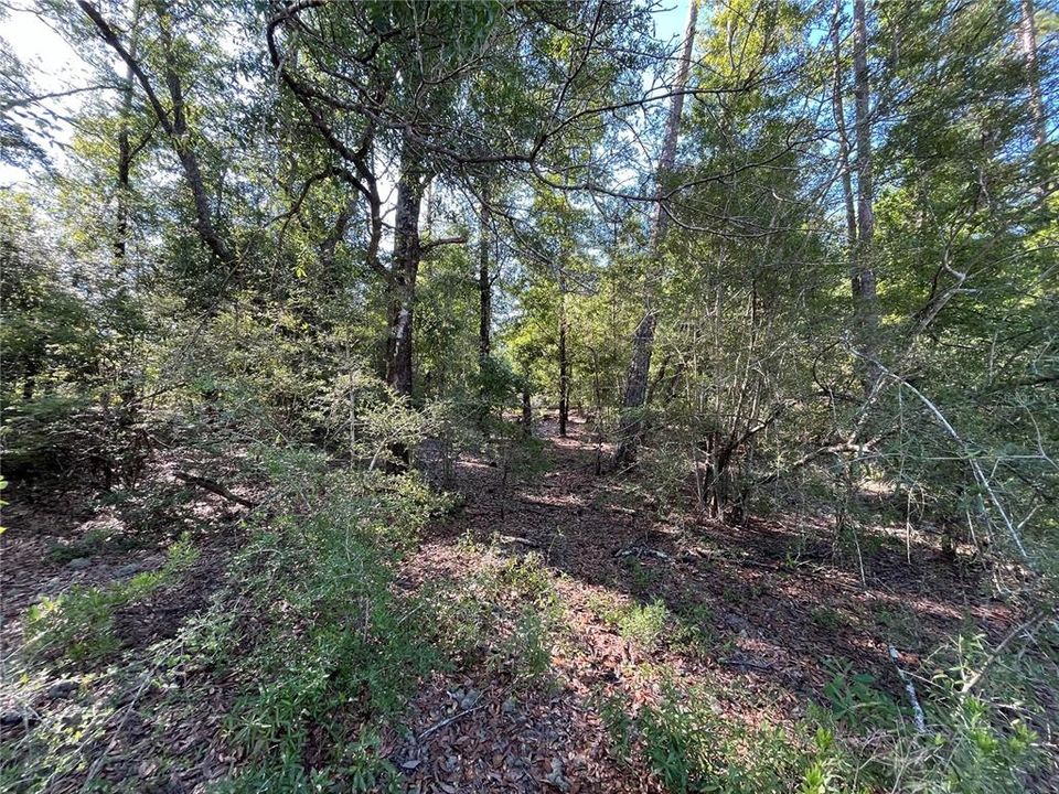 For Sale: $23,900 (2.54 acres)
