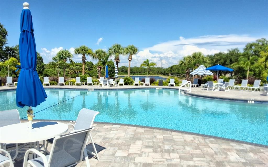 Resort Style Pool