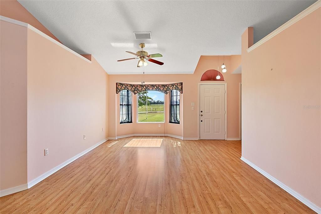 Foyer and living room