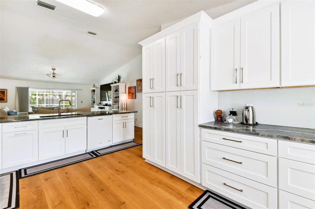 PANTRY DESERVES 2ND PIC - PULL OUT DRAWERS/SHELVES!