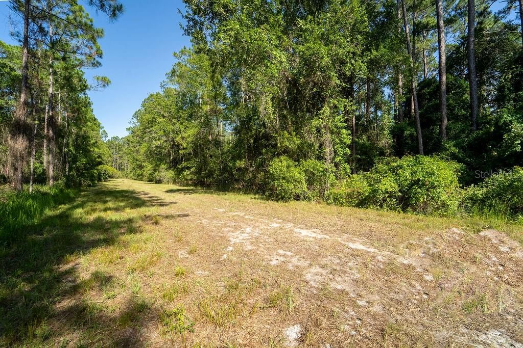 For Sale: $35,000 (0.69 acres)