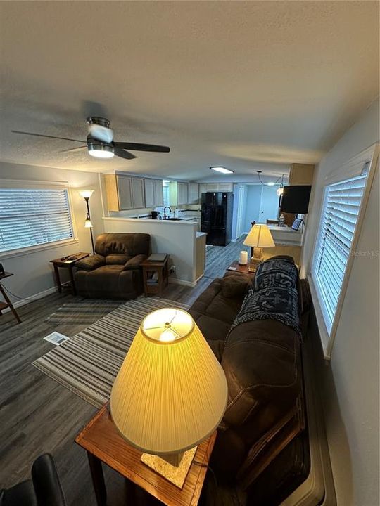 Living Room - Entire Floorplan remodeled