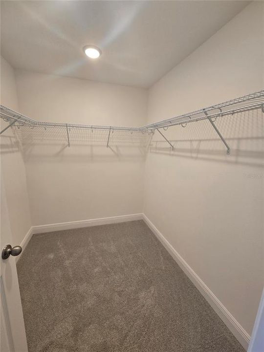 Primary Walk-in Closet