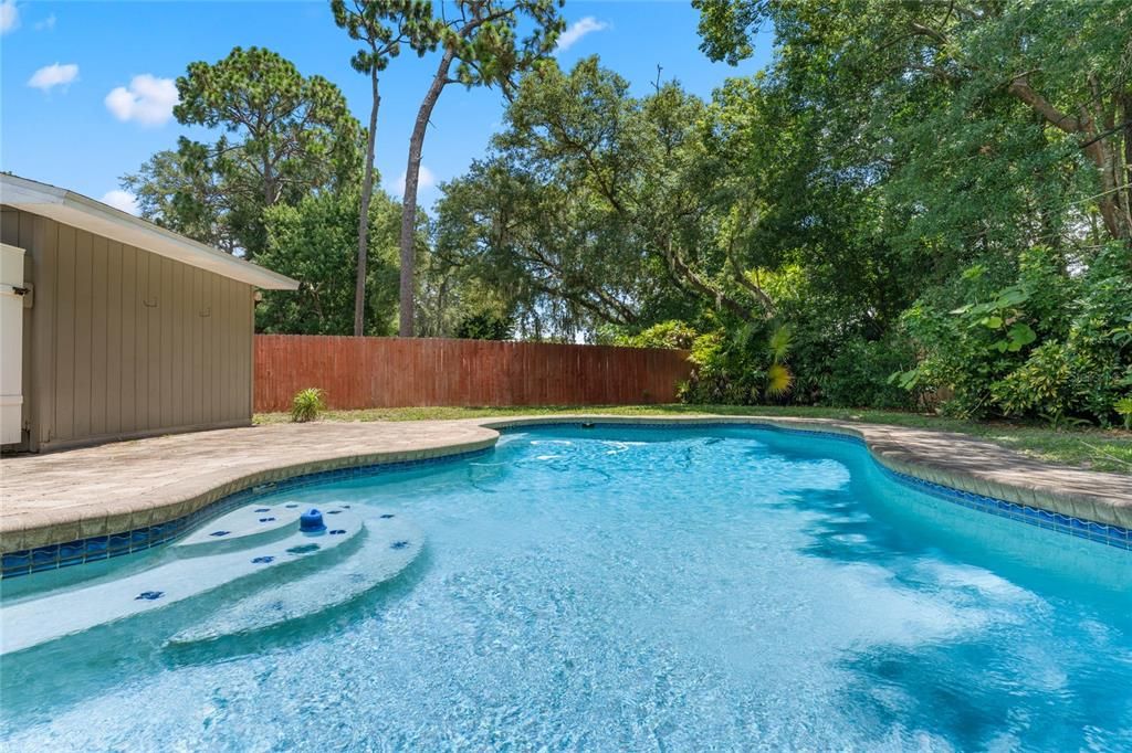 Another View of the In-Ground Pool