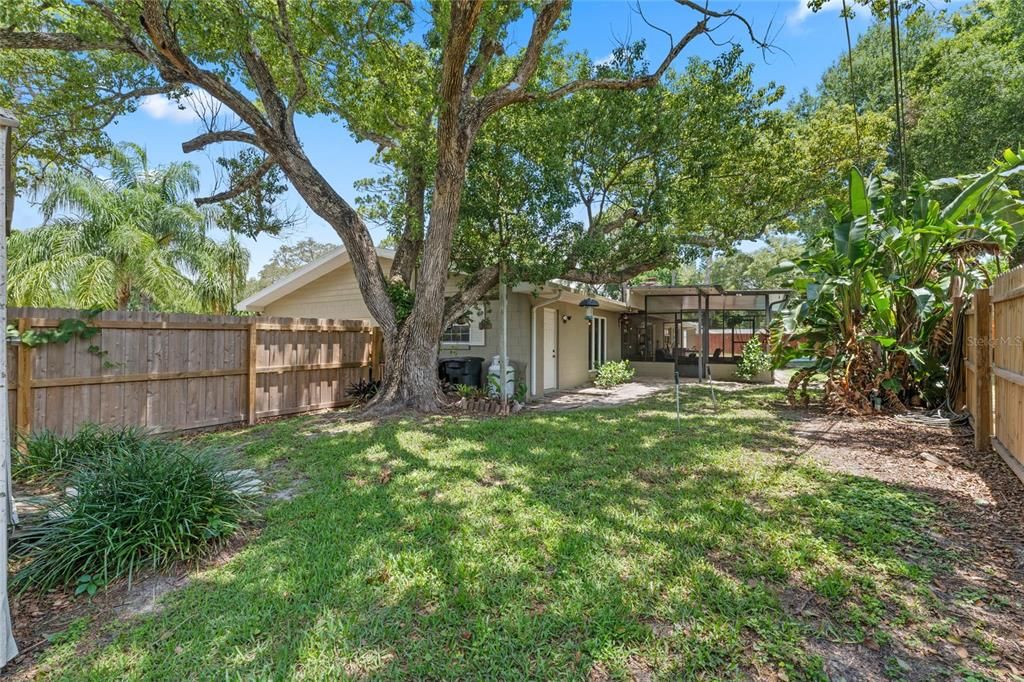 Another View of Rear Yard with Entry Door to Laundry Room.