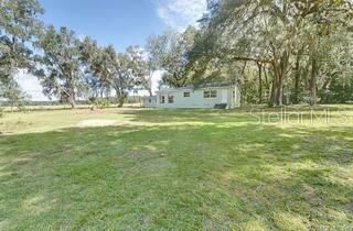 Relax in paradise on your sprawling 2.5 acre ranch surrounded by trees on the perimeter and adjacent to an expansive horse and cow pasture.