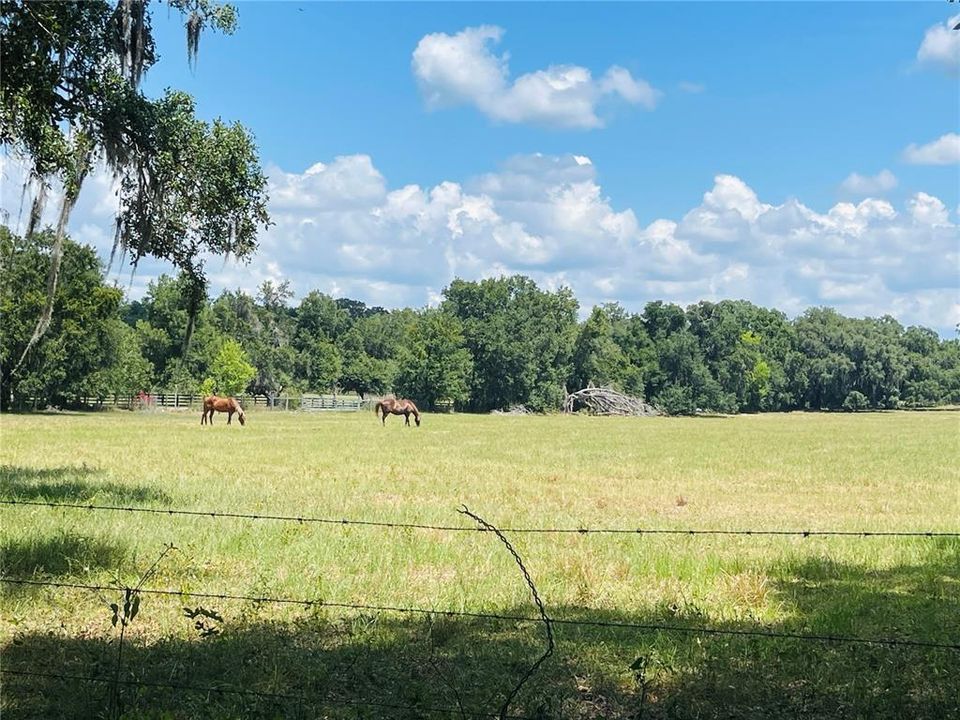 Privacy & Tranquility awaits you when your neighbor is an Expansive horse and cow pasture!